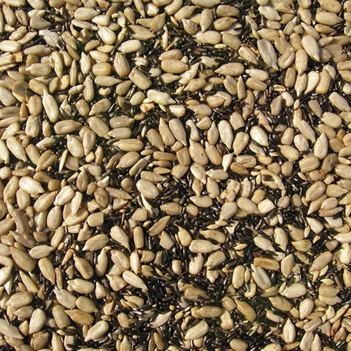 Bird Seed Finch Friends 5LB