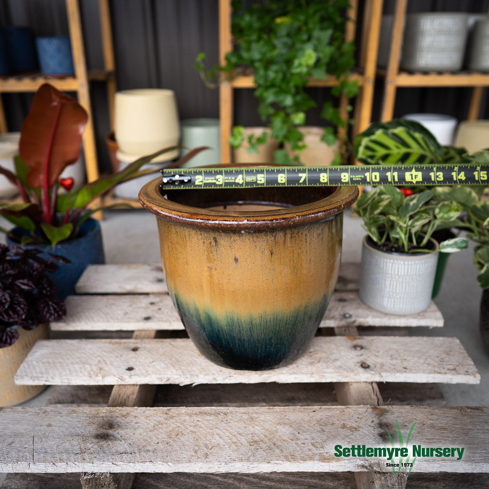 Pottery Alina M 10 Sunrise Jade