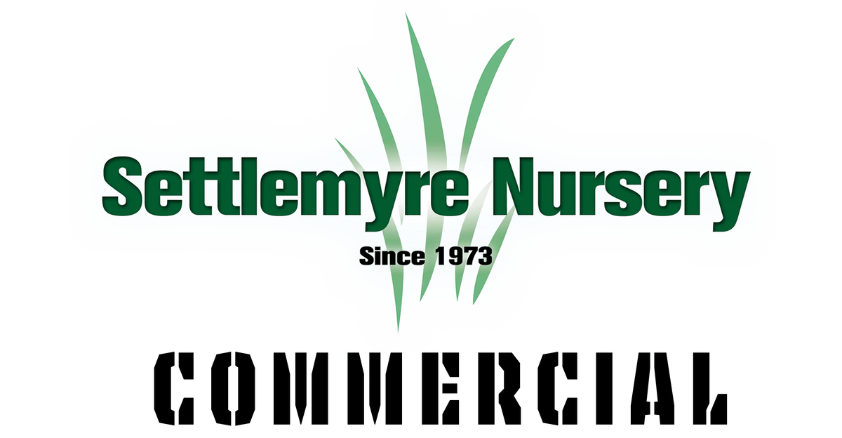 Settlemyre Nursery Commercial