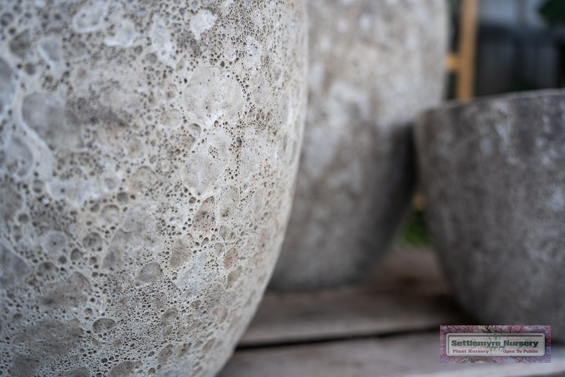 Pham SM 11" Atlantis Gray