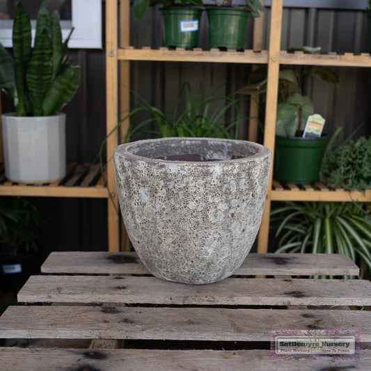 Pham SM 11" Atlantis Gray