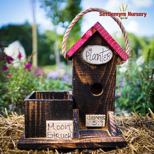 Birdhouse Planter