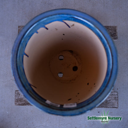 Pottery Alina LG 15 Rainey Amaze