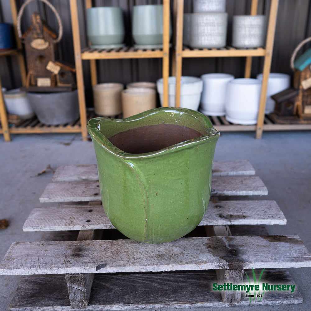 Flower Medium 8 Wasabi