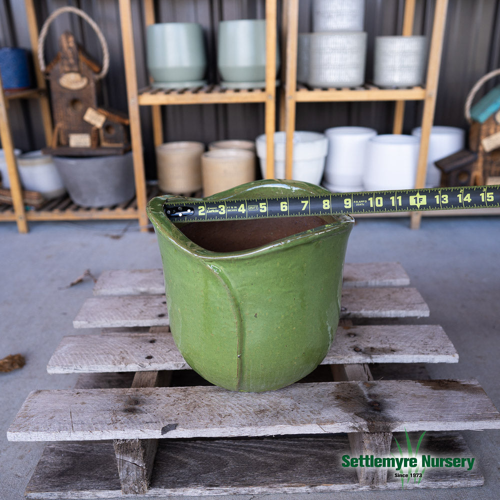 Flower Medium 8 Wasabi