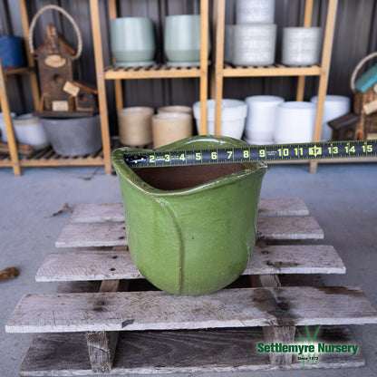 Flower Medium 8 Wasabi