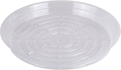 Clear Vinyl Saucer