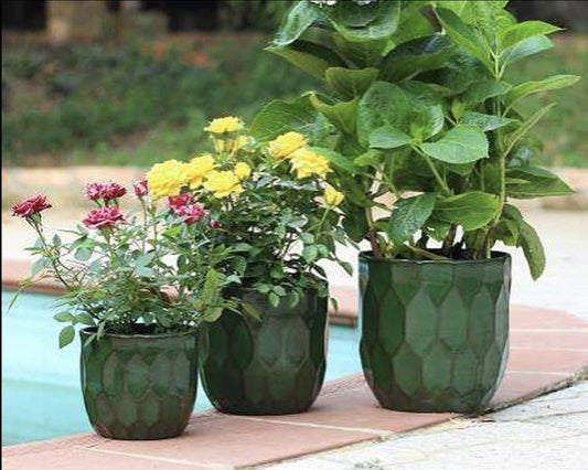Pottery Sadie LG Green