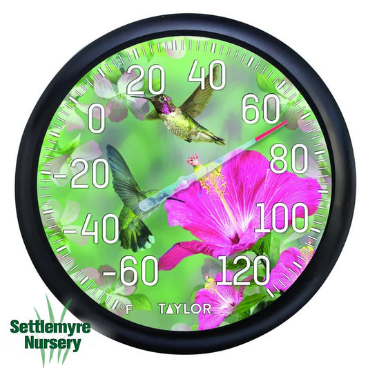 Taylor Thermometer Hummingbird 13"