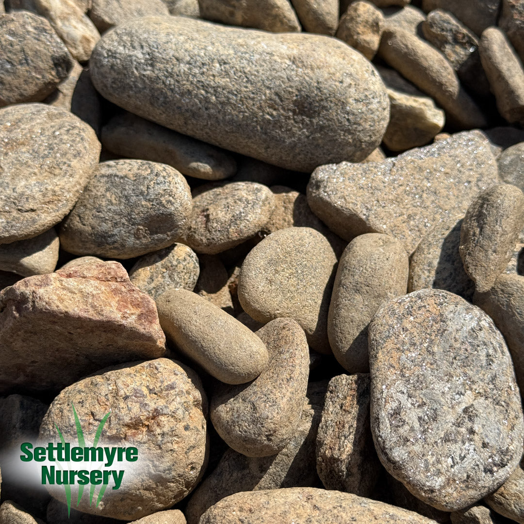 Cane Creek River Rock 1" - 3"