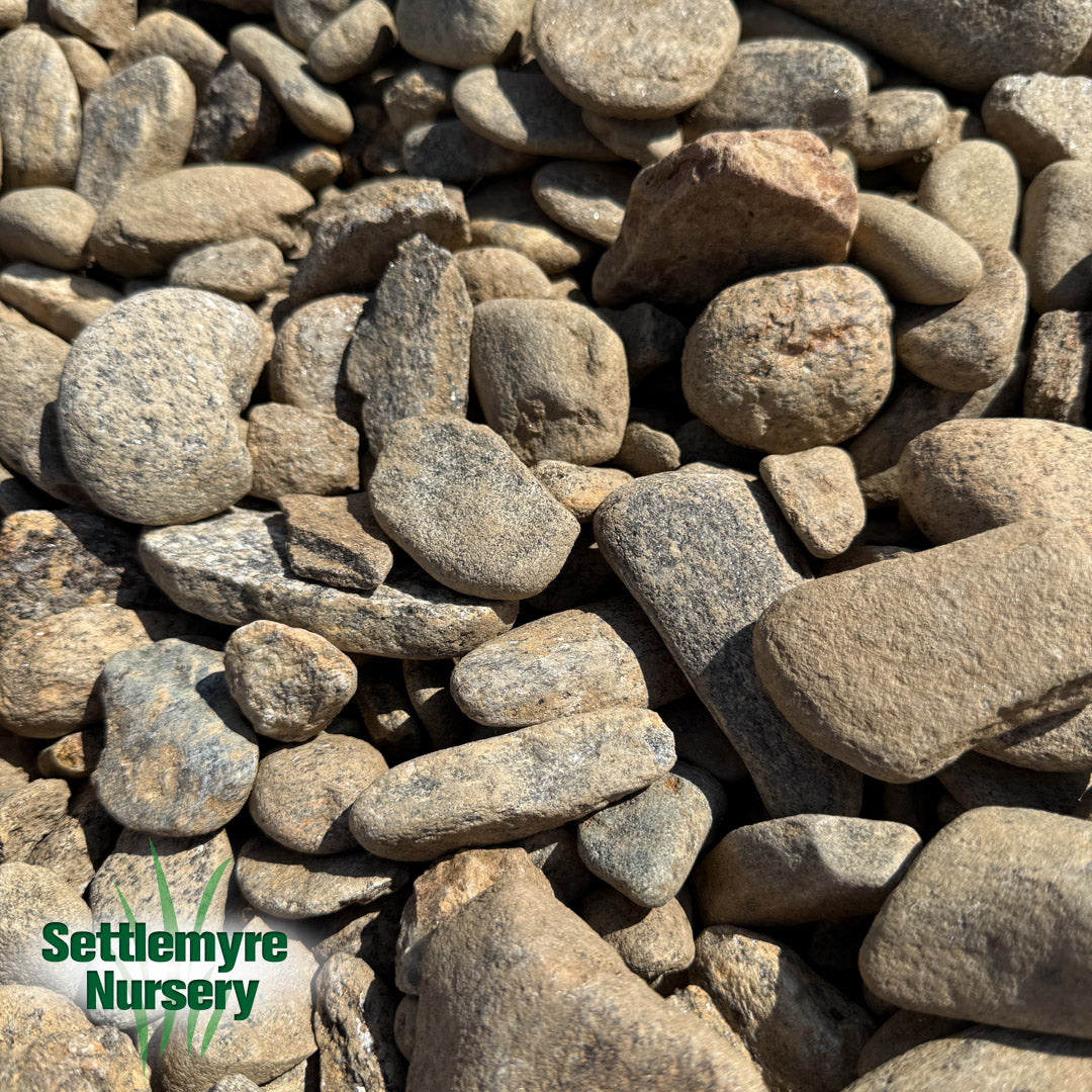 Cane Creek River Rock 1" - 3"