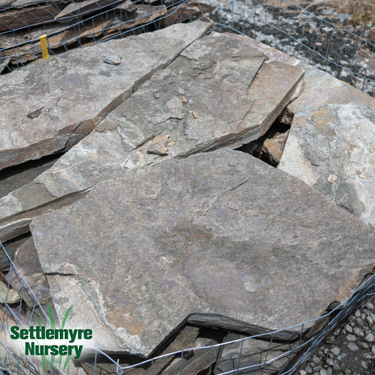 Laurel Cabin Flagstone