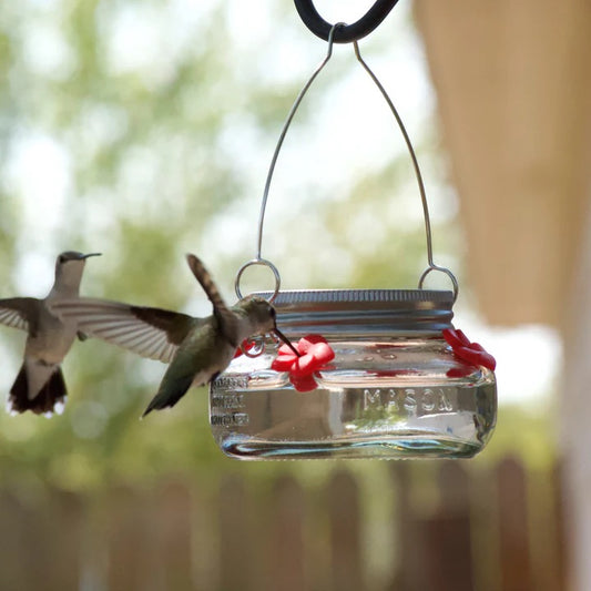 Hummingbird Feeder Mason Jar